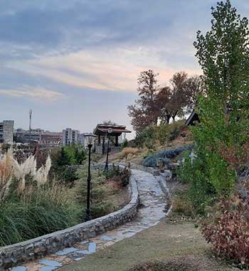 قالیشویی باغستان